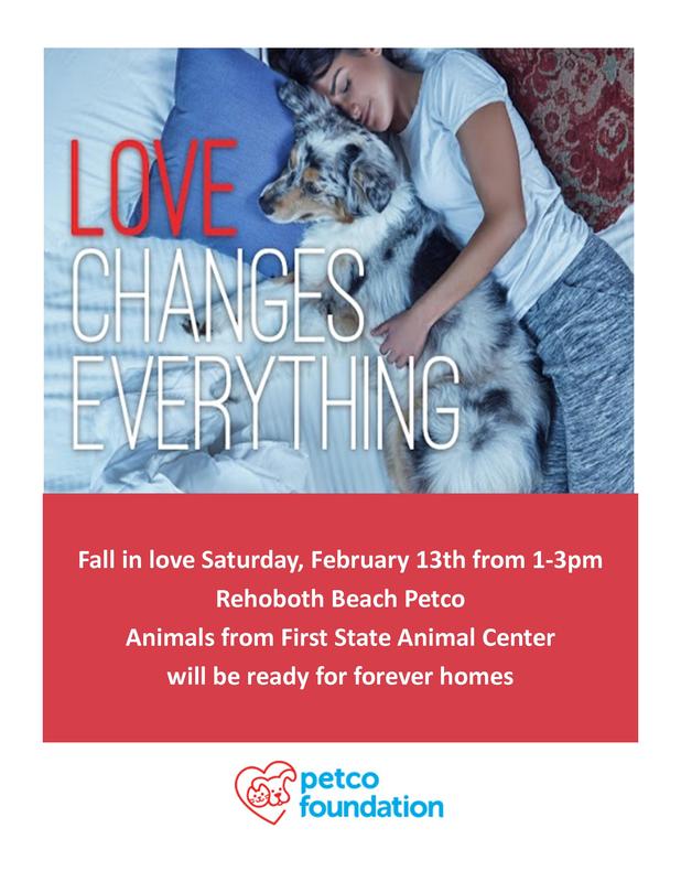 Adoption Event at Rehoboth Beach Petco Cape Gazette